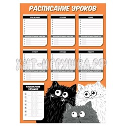 Расписание А3 пластик Котики Феникс 56932, 56932