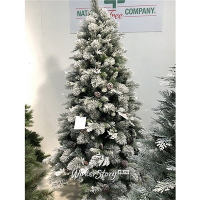 Искусственная сосна с гирляндой Bedford заснеженная 198 см с шишками, 500 теплых белых LED ламп, ЛЕСКА + ПВХ (National Tree Company)