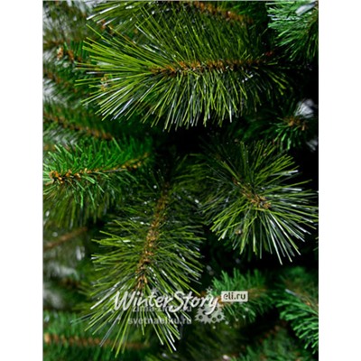 Искусственная сосна Rocky Ridge Pine 152 cм, ЛЕСКА + ПВХ (National Tree Company)