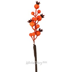 Декоративная ветка Ягоды Боярышника для букетов 50 см оранжевый (Hogewoning)