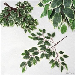 Искусственные листья 12 штук Фикус бело-зеленый / 149NA-27 /уп 100/_
