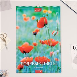 Календарь перекидной на ригеле А3 "Полевые цветы" 2025 год, 32 х 48 см