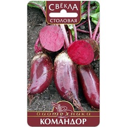 Свекла столовая Командор, 1.5 г