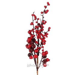 Декоративная ветка с ягодами Heford 54 см (Edelman)