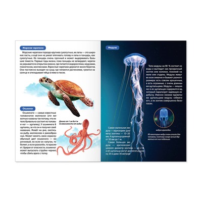 Мини-энциклопедии набор «Мир животных», 6 шт. по 20 стр.