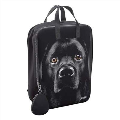 Рюкзак StreetLine 16L Black Dog