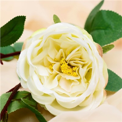 Цветы искусственные "Роза пионовидная галант" 7х61 см, белый