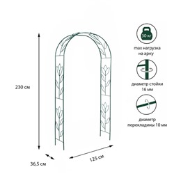 Арка садовая, разборная, 230 × 125 × 36.5 см, металл, зелёная, «Тюльпан»