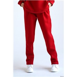 Спортивные штаны с начёсом W901-93 Спортивные штаны с начёсом 40 красный
