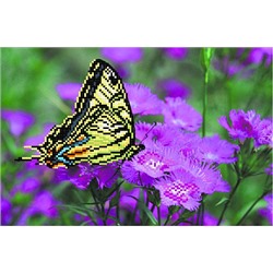 Рисунок на шелке МАТРЕНИН ПОСАД арт.28х34 - 4000 Бабочка на лиловых цветах