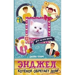 Энджел. Котенок обретает дом