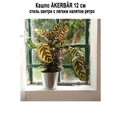 Кашпо AKERBAR 12 см - 904