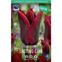 Тюльпан Ластинг Лав (Tulipa Lasting Love), 10 шт (разбор 12/14)