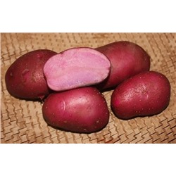 Картофель семенной Сюрприз (2 кг)
