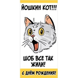 Конверт для денег "С Днем рождения! Йошкин кот!!! Шоб все так жили!", Белый 168х82 мм