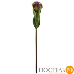 Цветок искусственный леукоспермум высота=68 см без упаковки