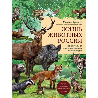 340376 Эксмо Михаил Куценко "Жизнь животных России. Познавательная иллюстрированная энциклопедия"