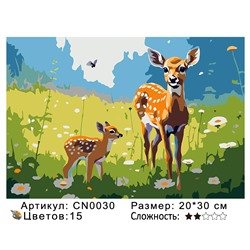 CN0030 Картины по номерам 20*30 цвет.холст