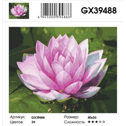 Картина по номерам на подрамнике GX39488
