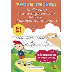 Развиваем каллиграфические навыки. Готовимся к школе. Блохина К.В.