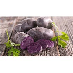 Картофель семенной Фиолетовый (2 кг)