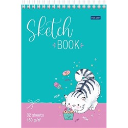Скетчбук А5  32л "Приключения кота Пирожка" спираль тв.обл 160г/м² 32Б5Aгр_23701 Хатбер