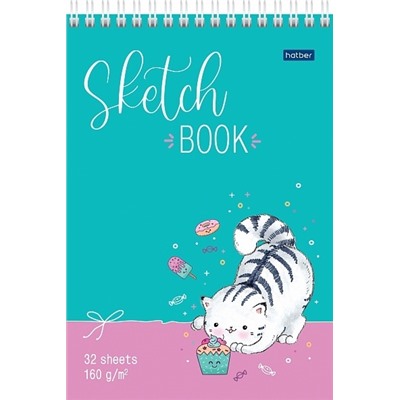Скетчбук А5  32л "Приключения кота Пирожка" спираль тв.обл 160г/м² 32Б5Aгр_23701 Хатбер