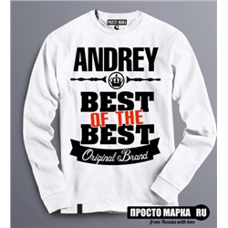 Толстовка (Свитшот) Best of The Best Андрей