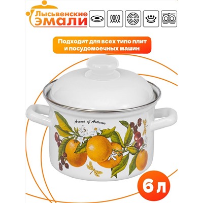 Кастрюля 6,0л 16184 АП2 "Фруктовая фантазия"