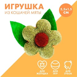 Игрушка для кошек «Цветок» из кошачьей мяты, 5,5 х 1,5 см