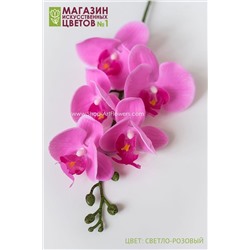 Орхидея Фаленопсис (5 цветков) - светло-розовый