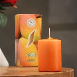 Свеча ароматическая "Манго", 4×6 см, в коробке