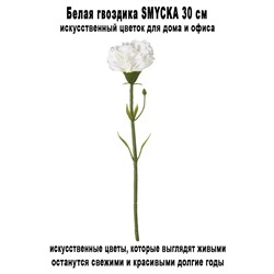 Гвоздика SMYCKA 30 см