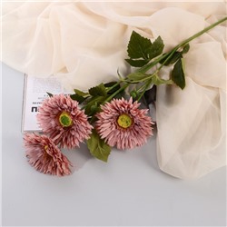 Цветы искусственные "Хризантема колор галант" 10х60 см, розовый