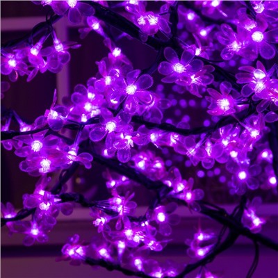 Светодиодное дерево «Баугиния» 2 м, 864 LED, постоянное свечение, 220 В, свечение фиолетовое