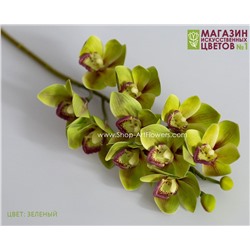 Орхидея Цимбидиум 3D - зеленый
