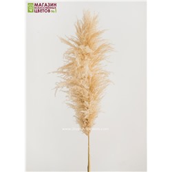 Кортадерия (пампасная трава) - соломы