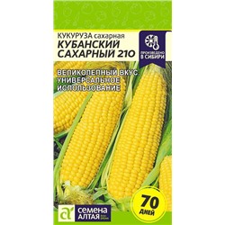 Кукуруза Кубанский Сахарный 210