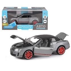 Модель 1:24 Bentley Continental Supersports ISR, серый 1251021JB Автопанорама в Самаре