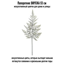 Папоротник SMYCKA 53 см