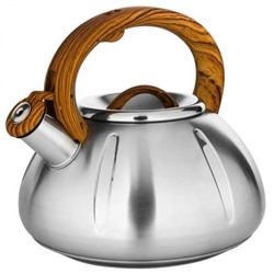 Чайник для плиты 3,0л со свистком НМ 55170