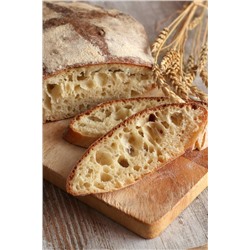 Закваска для хлеба "Пшеничная"