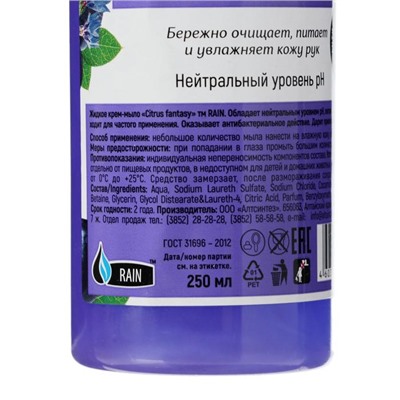 Крем-мыло антибактериальное Rain Черника-Василёк дозатор, 250 мл