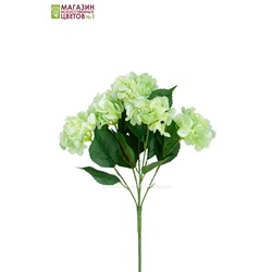 Гортензия куст (5 соцветий) - 11 расцветок - светло-зеленый