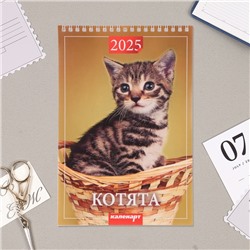 Календарь на пружине без ригеля "Котята" 2025 год, 17 х 25 см