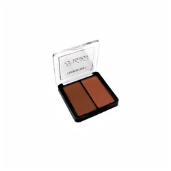 Румяна TOOMFODE Professional Makeup Blusher (04)