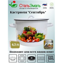 Кастрюля 4,5л 1с17с белосн. Сентябрь